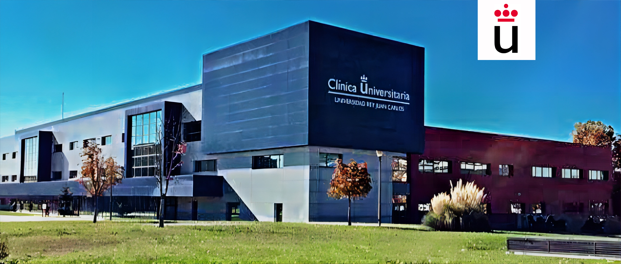 胡安卡洛斯国王大学